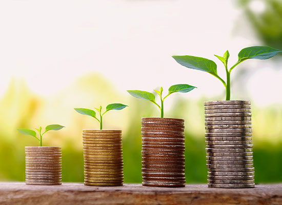 Stacks of coins arranged from shortest to tallest, each topped with a small green plant sprout, symbolize growth. The increasing height mirrors the steady buildup seen in annuities. A background blurred with green and yellow hues suggests an outdoor, natural setting.